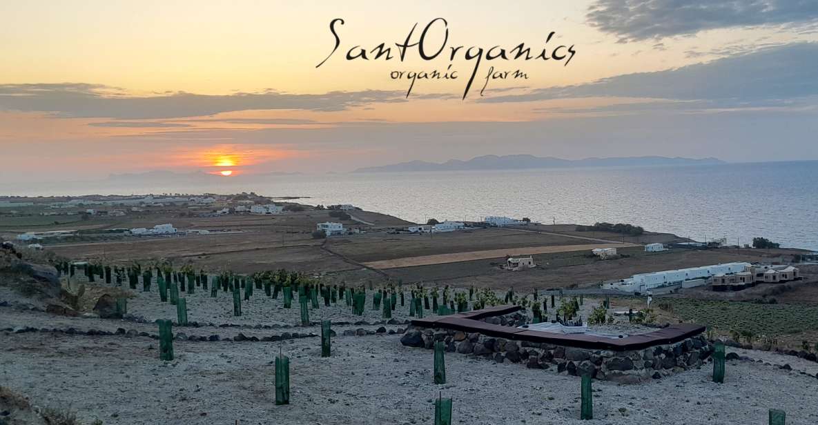 Santorini: Private Agri-Educational Visit to an Organic Farm - Booking Information