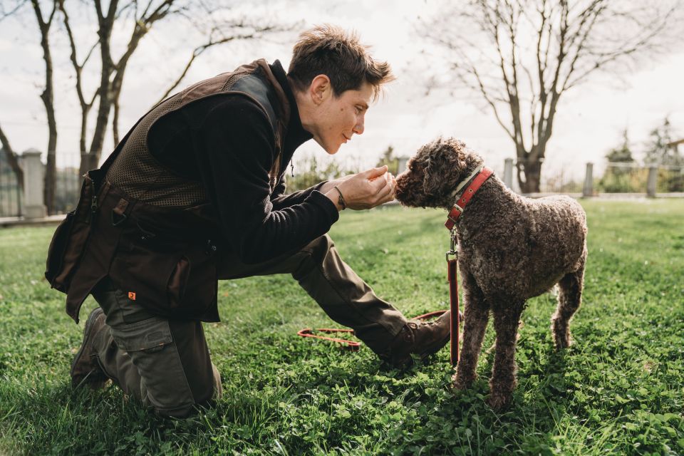 Barberino Tavarnelle: Truffle Hunt Tour With Lunch or Dinner - Common questions