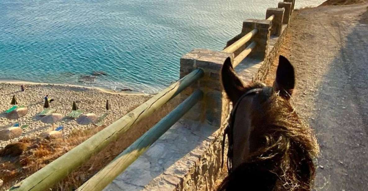 CHR - Crete Horse Riding: East Coastline Ride - Common questions