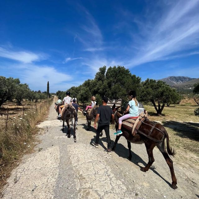 Donkey Ride - Cretan Country - Learn About Rural Life