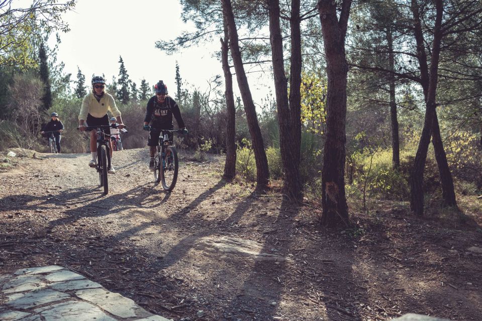 E-Bike Adventure in Thassos Island - Restrictions