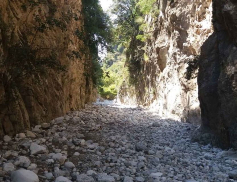 From Kalamata: Ridomo Gorge Hiking Tour With Beach Swim - Tour Highlights