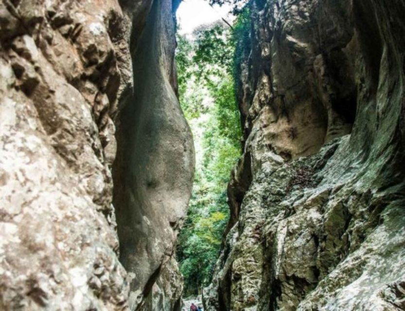 From Kalamata: Ridomo Gorge Hiking Tour With Greek Coffee - Inclusions