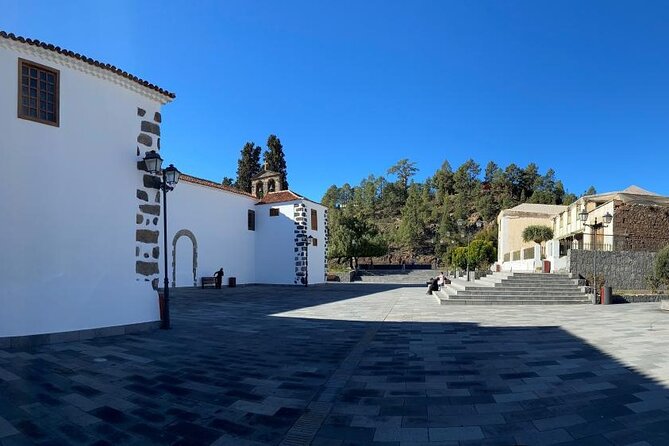 Gastro Wine Tour South Tenerife - Tenerifes Wine Culture