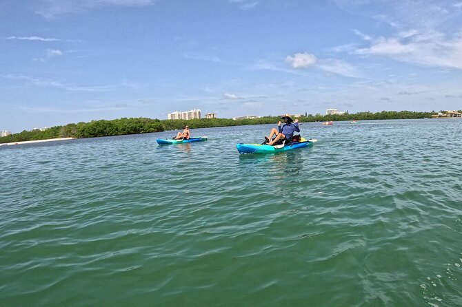 Guided Pedal Kayaking Tour - Reviews and Traveler Insights