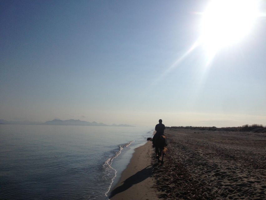 Kos: Horse Riding Experience on the Beach With Instructor - Important Information