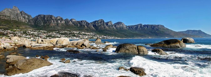 The Peninsula and Cape of Good Hope Full Day Tour in Cape Town - Tour Highlights