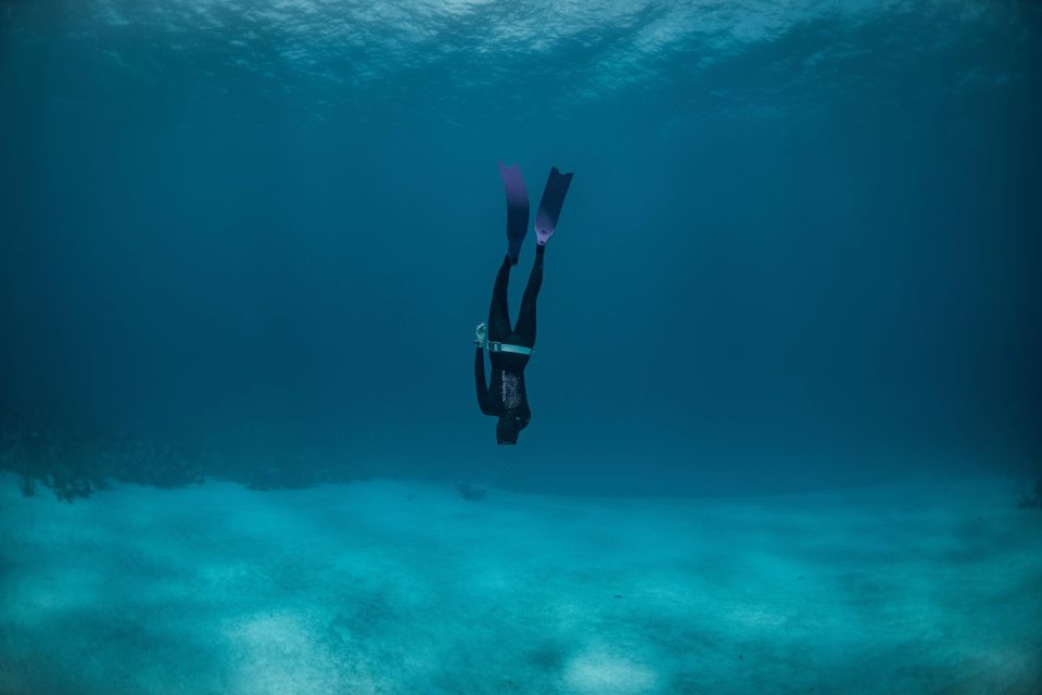 Try Free Diving in the Island of the Big Blue - Meeting Point and What to Bring