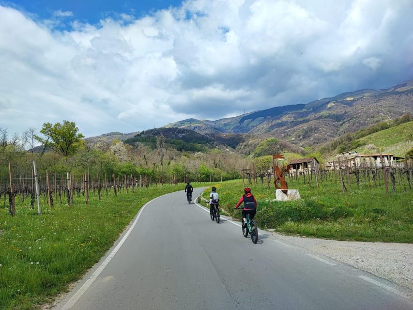 Valdobbiadene Hills: E-Bike Tour With Food&Wine Tasting - Wine Tasting Experience