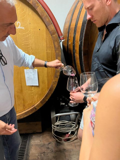 Biodynamic Chianti Wine Experience, a Day in Chianti - Recommendations