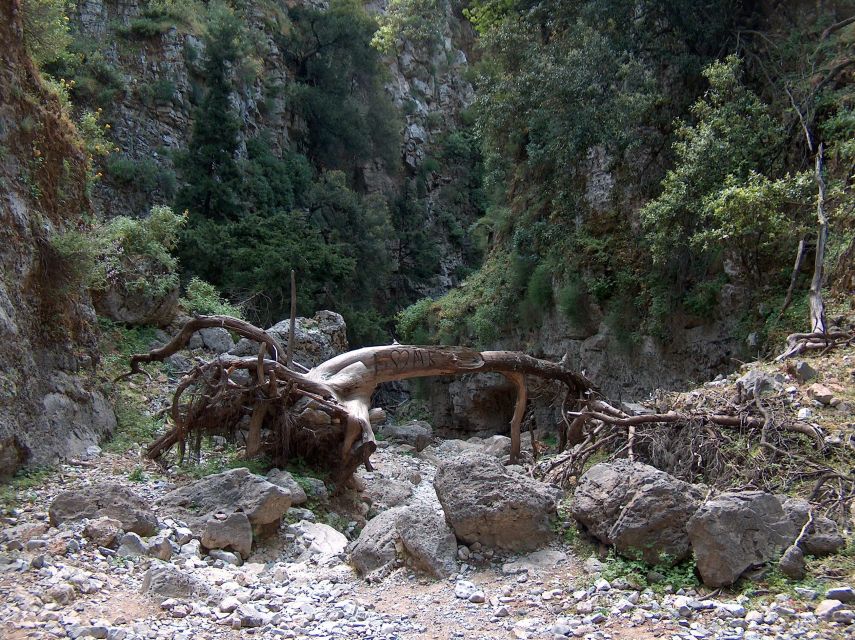 Chania: Imbros Gorge and Libyan Sea Day Tour - Key Information for Participants