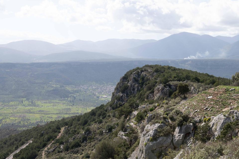 Delphi: Easy Hike From the Monastery to the Mycenaean Tomb - Meeting Point