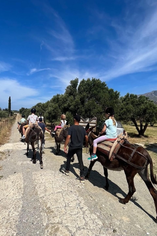 Donkey Ride - Cretan Country - Common questions