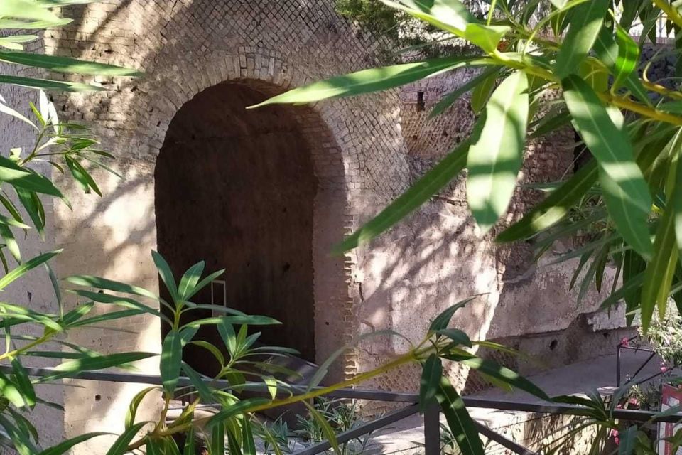 From Rome: Small-Group Pompeii & Naples Day Tour With Lunch - Important Information