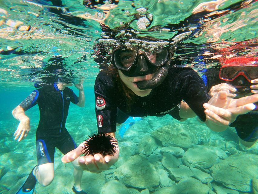 Heraklion: Beginner-Friendly Snorkeling Trip - Important Restrictions