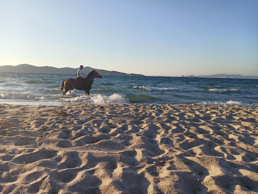 Kos: Horse Riding Experience on the Beach With Instructor - Price and Duration