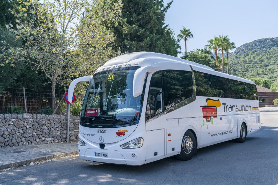 Mallorca: Island Tour With Boat, Tram & Train From the South - Customer Reviews