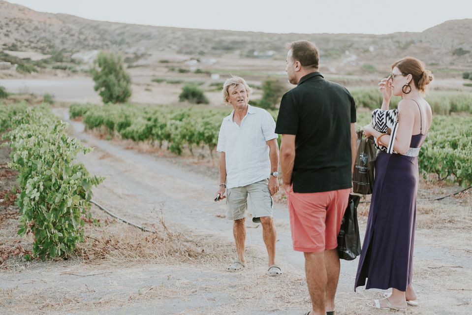 Milos Island: Kostantakis Winery Wine Tasting Experience - Customer Reviews