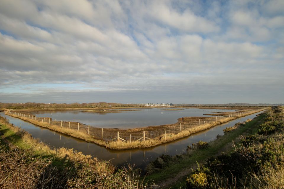 New Forest Discovery Walk (Lymington) - Additional Information