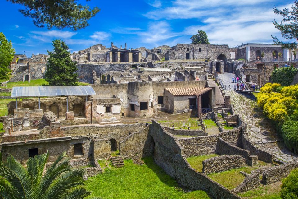 Pompeii: Private Tour With Hotel Pickup and Entry Ticket - Tour Highlights