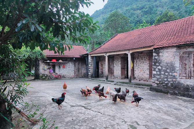 Private Boat and Biking Tour in Ninh Binh (Trang An - Hang Mua) - Photo Opportunities