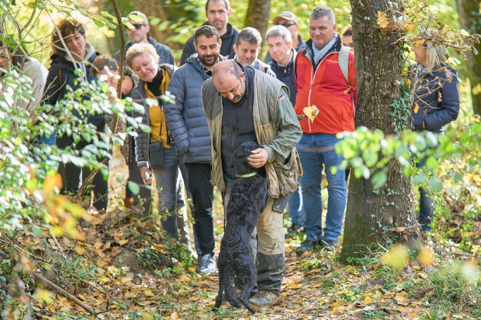 Siena - Truffle Hunting in the Sienese Woods With Tasting - Meeting Point Instructions