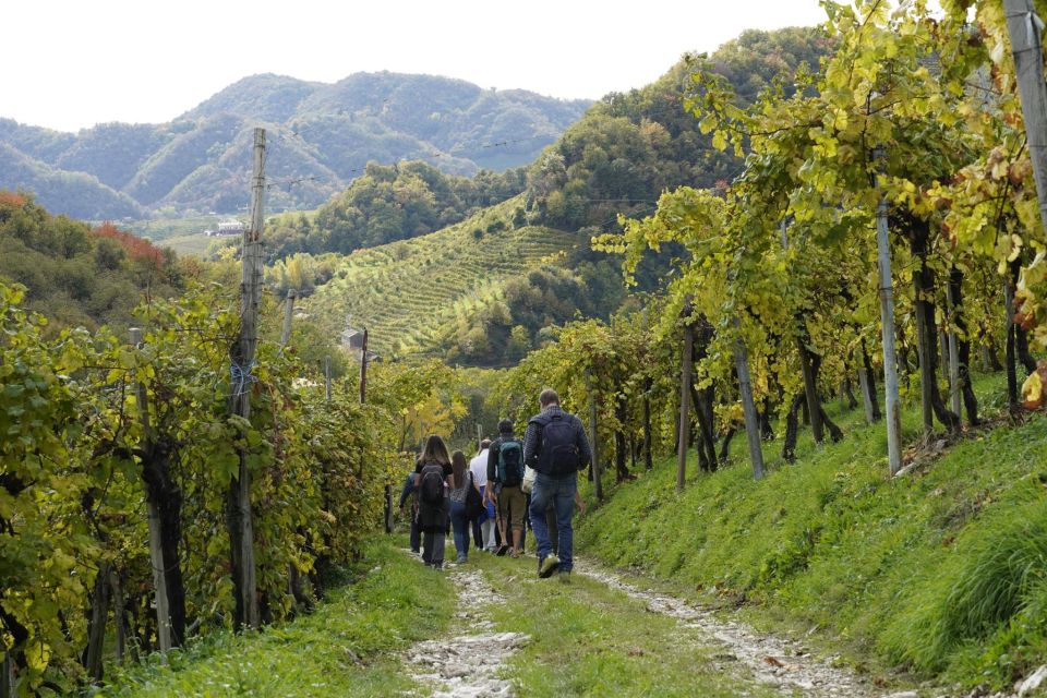 Valdobbiadene Hills: E-Bike Tour With Food&Wine Tasting - Booking Details