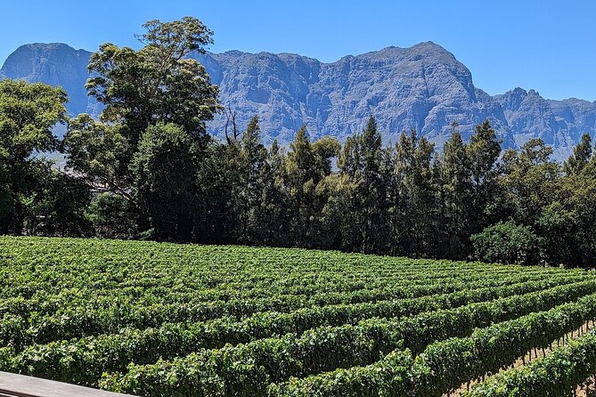 Wine Tasting in Cape Winelands Tour - Additional Notes