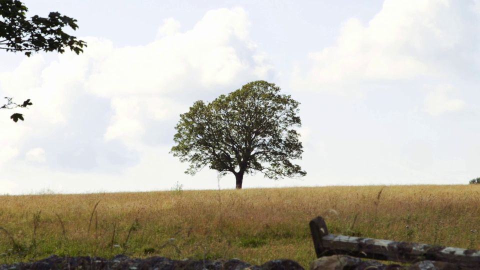 Edinburgh: Tour of Rosslyn Chapel and Hadrian's Wall - Important Information