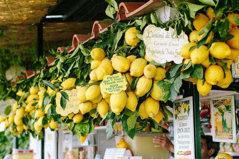 From Amalfi: Li Galli Islands and Capri Full-Day Boat Tour - Customer Reviews