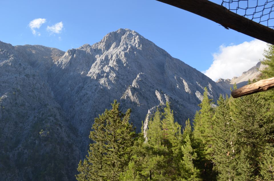 From Chania : Full-Day Samaria Gorge Hike - Flora and Fauna