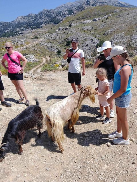 Malia: Land Rover Safari Lasithi Plateau and Zeus Cave - Safety Considerations