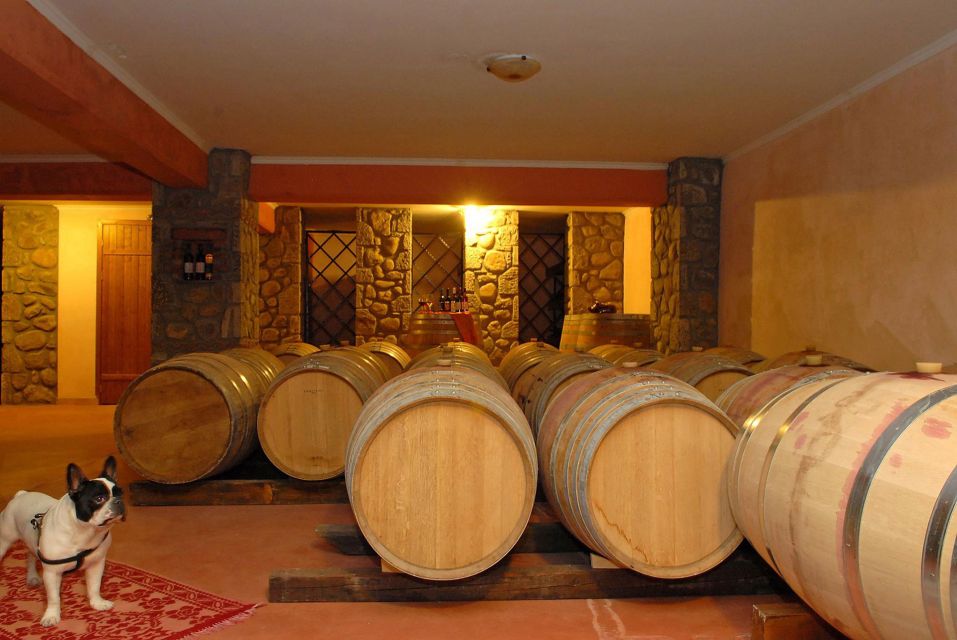 Meteora Private Wine Tasting Experience - Additional Services