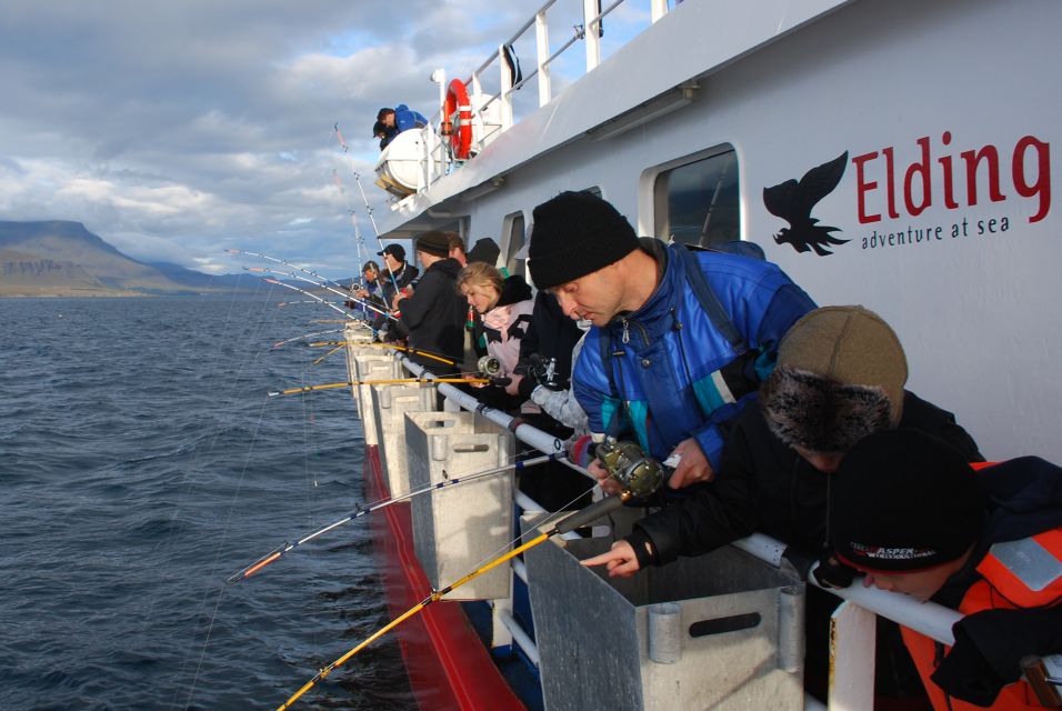 Reykjavik: 3-Hour Sea Angling Gourmet Experience Tour - Last Words