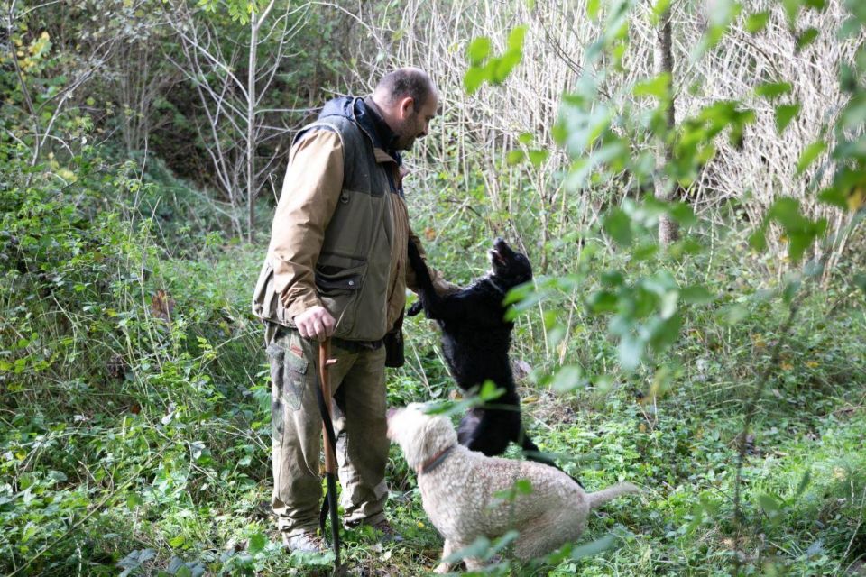 Siena - Truffle Hunting in the Sienese Woods With Tasting - Common questions