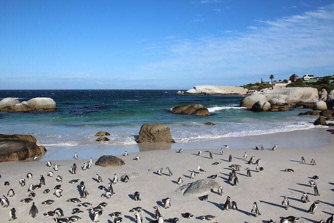 The Peninsula and Cape of Good Hope Full Day Tour in Cape Town - Tour Itinerary