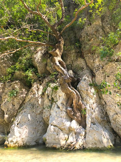 Trek at Acherontas River the Gate of the Underworld - What to Bring