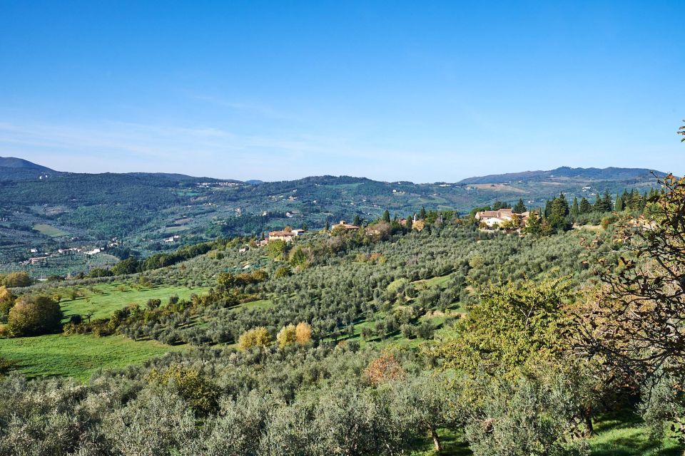 2-Hour Vintage Fiat 500 Tour With Olive Oil Tasting at Farm - Common questions