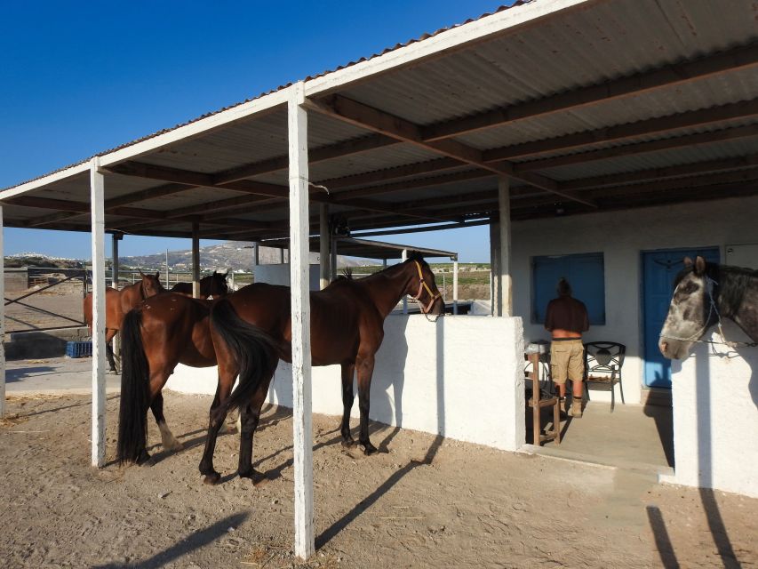 Akrotiri: Guided Horseback Riding Day Trip to a Beach - Facilities Location