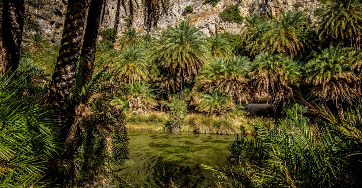 Explore Preveli Palms, Damnoni Beach & Historic Rethymno - Directions