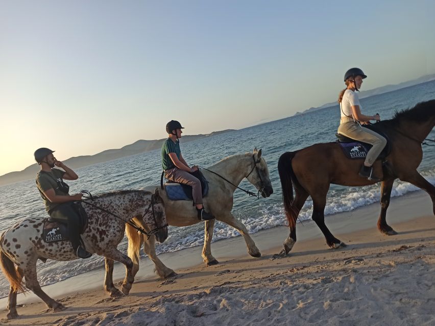 Kos: Horse Riding Experience on the Beach With Instructor - Last Words