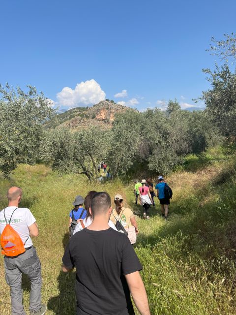 Delphi: Easy Hike From the Monastery to the Mycenaean Tomb - Booking Information