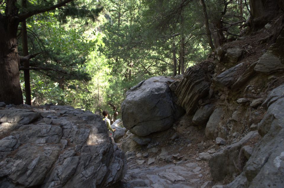 From Chania : Full-Day Samaria Gorge Hike - Local Cuisine