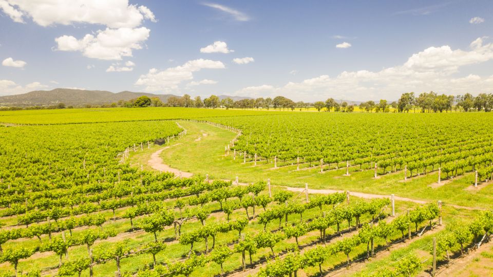 From Sydney: Hunter Valley Wine/Spirit Tasting Tour & Lunch - Common questions