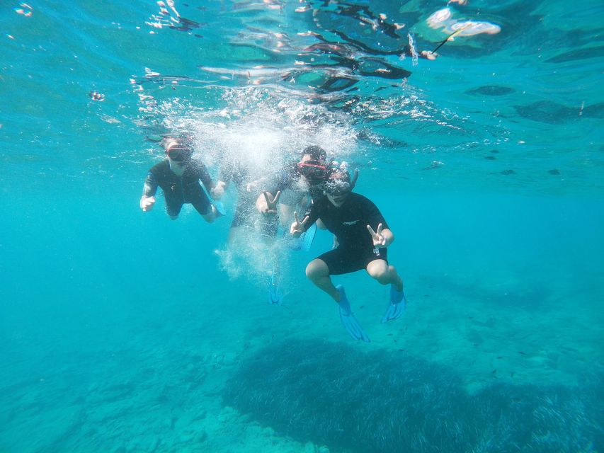 Heraklion: Beginner-Friendly Snorkeling Trip - Key Points