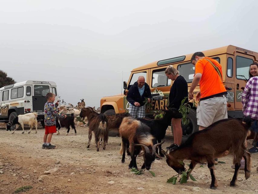 Malia: Land Rover Safari Lasithi Plateau and Zeus Cave - Last Words