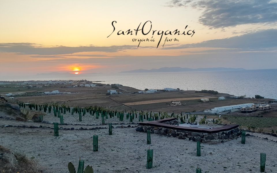 Santorini: Private Agri-Educational Visit to an Organic Farm - Last Words