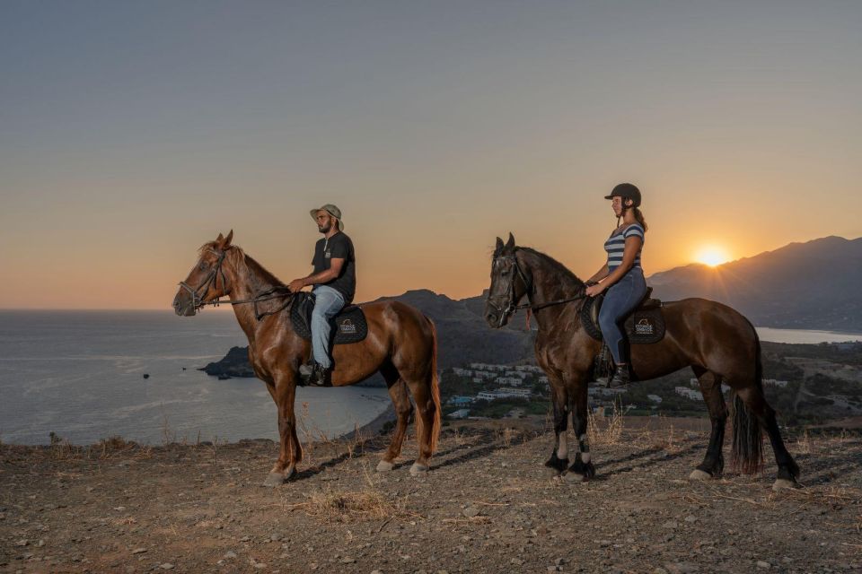 CHR - Crete Horse Riding: East Coastline Ride - Pricing and Duration