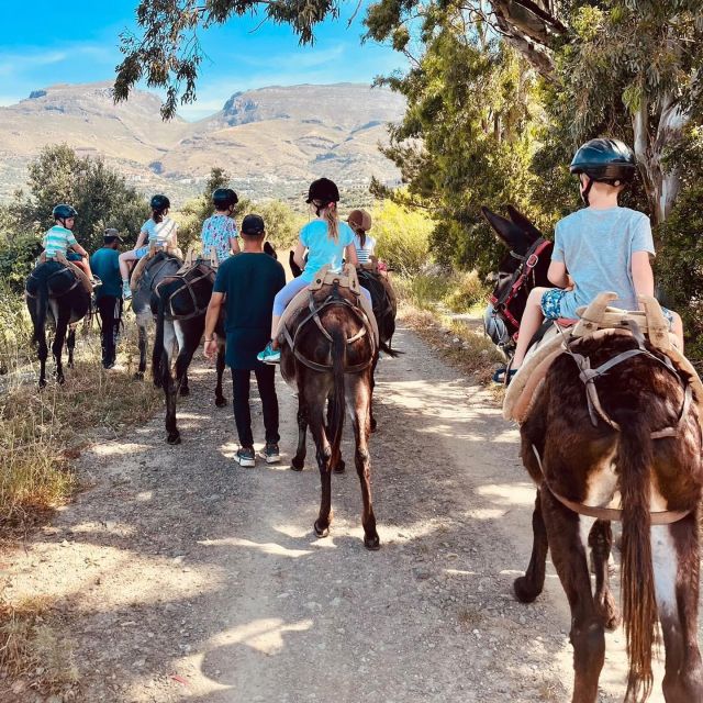 Donkey Ride - Cretan Country - Experience the Charming Donkey Ride