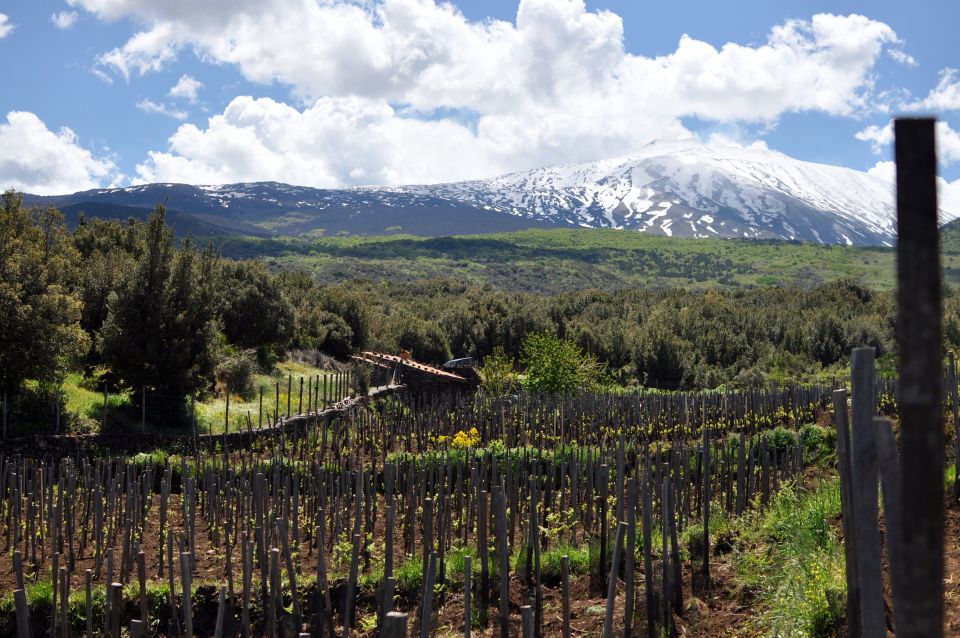 Etna Quad & Wine Combo Private Tour - Key Points